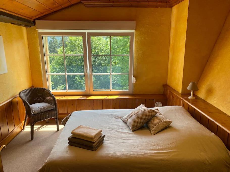 Ferme De Chenezeau - 15 Personnes , 7 Chambres ジェラールメ エクステリア 写真