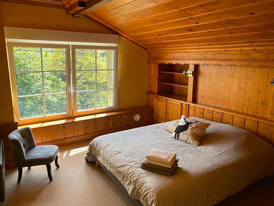 Ferme De Chenezeau - 15 Personnes , 7 Chambres ジェラールメ エクステリア 写真