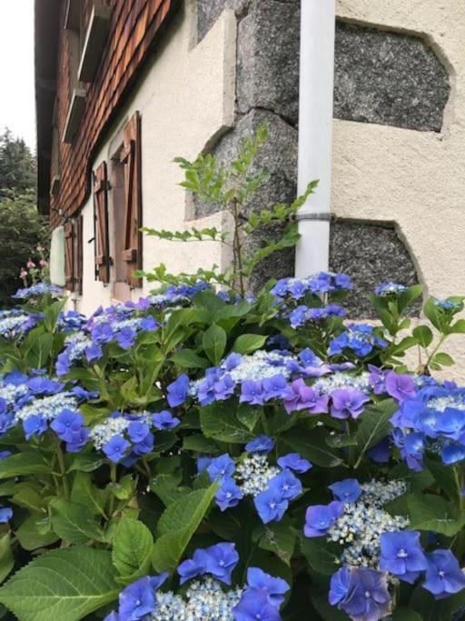 Ferme De Chenezeau - 15 Personnes , 7 Chambres ジェラールメ エクステリア 写真